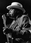 Luther 'Guitar Junior' Johnson, 17 mars 2000, Villepinte, festival 'Banlieues Bleues'