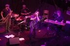 Ursus Minor - Tony Hymas, Grego Simmons, François Corneloup,  Stokley Williams, Desdamona - Paris, le Zèbre, 20 octobre 2016 