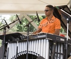 Stefon Harris - Paris Jazz Festival, 26 juillet 2008