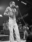 Fela Anikulapo Kuti, Fête de l'humanité, 13 septembre1986 